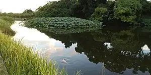 福岡城跡5号堀