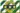 Rapid Vienna