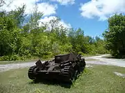 ペリリュー島に遺棄された九五式軽戦車（2010年3月27日撮影）