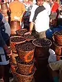 ベレンの市場で売られる果実（ブラジル、パラー州）