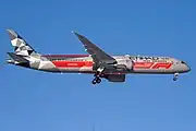 ボーイング787-9（F1 アブダビGP 特別塗装機）
