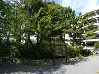 外山古墳群（イオン藤さき古墳広場）