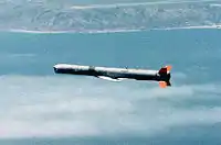 高空巡航中のAGM-84(SLAM)