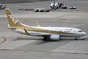「ゴールドジェット」 737-700 JA02AN