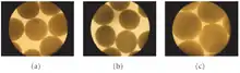 Illustration of the APA microcapsule integrity and morphological changes during simulated GI transit. (a) Pre-stomach transit. (b) Post-stomach transit (60 minutes). (c) Post-stomach (60 minutes) and intestinal (10-hour) transit. Microcapsule size: (a) 608 ± 36 μm (b) 544 ± 40 μm (c) 725 ± 55 μm.