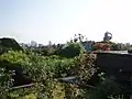 屋上庭園