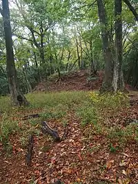 北西尾根の連郭