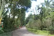 緑道。
