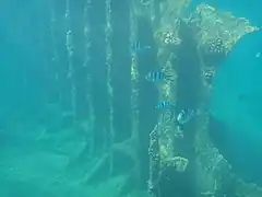 水没部分