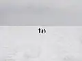 流氷ウォーキング中の人。ドライスーツを着用し、インストラクターが付いている。
