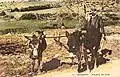 11. ナザレ - 耕起の情景