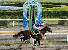 第18回かしわ記念(2006年5月5日)アジュディミツオー優勝