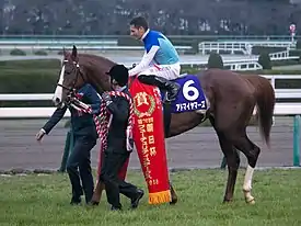 第70回優勝馬アドマイヤマーズ