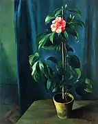 椿 (1924)
