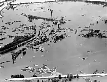 モノクロの空撮映像で画面全体が水につかり、水面からは並木と何らかの建物の屋根らしきものがところどころ覗いている状況が広がっていてここに街並みが存在していたとは一見してわからない。