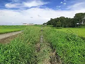 上尾市領家付近を流れる江川と河畔林。(2010年5月)