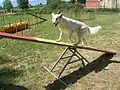 犬とシーソー(1→2→3→4)