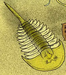 光楯類のアグラスピス(Aglaspis spinifer)の復元図