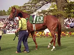 アグネスフライト