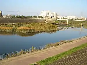 安威川 2005年11月3日撮影
