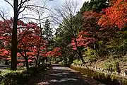愛知県民の森の紅葉