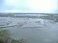 アンプルダー湿地