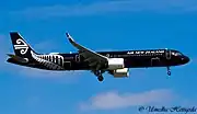 エアバスA321neo（オールブラックス塗装）