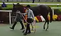 デイリー杯2歳S