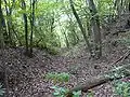 竪堀跡