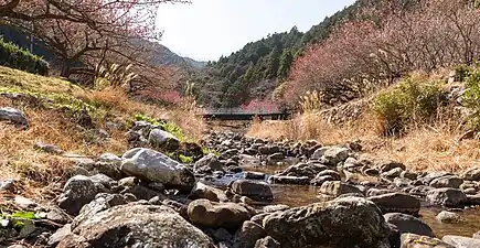 梅林進入路沿い・堂谷川