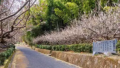 園路
