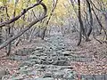 赤神神社　石の階段