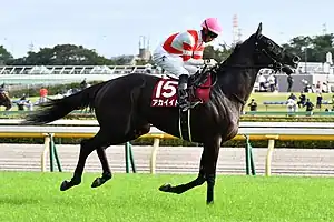 競走馬アカイイト