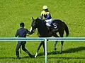 阪神牝馬S