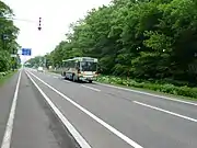 美留和線