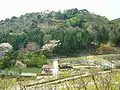 赤塚山側から見た弘法山