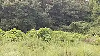 赤津川と東山路川の合流点