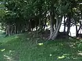 秋葉山古墳群第五号墳