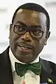 アフリカ開発銀行アキンウミ・アデシナ（英語版）総裁