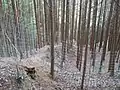 竪土塁跡