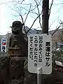 悪運はサル