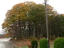 阿久遺跡