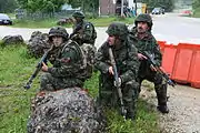 アルバニア軍（向かって右は56式自動歩槍）