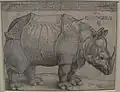 『犀』, アルブレヒト・デューラー, 1515年