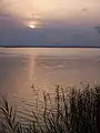 アルブフェーラ湿地