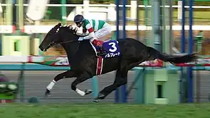 第63回優勝馬アルフレード