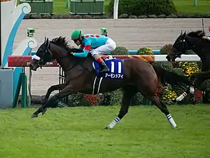 第23回優勝馬アーモンドアイ（鞍上、クリストフ・ルメール）