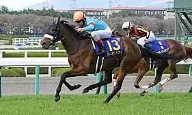 2018年優勝馬アーモンドアイ