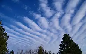 放射状/波状高積雲