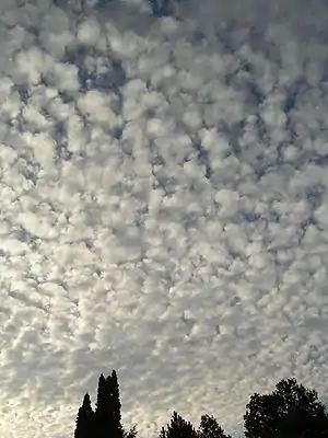 空を覆う層状雲